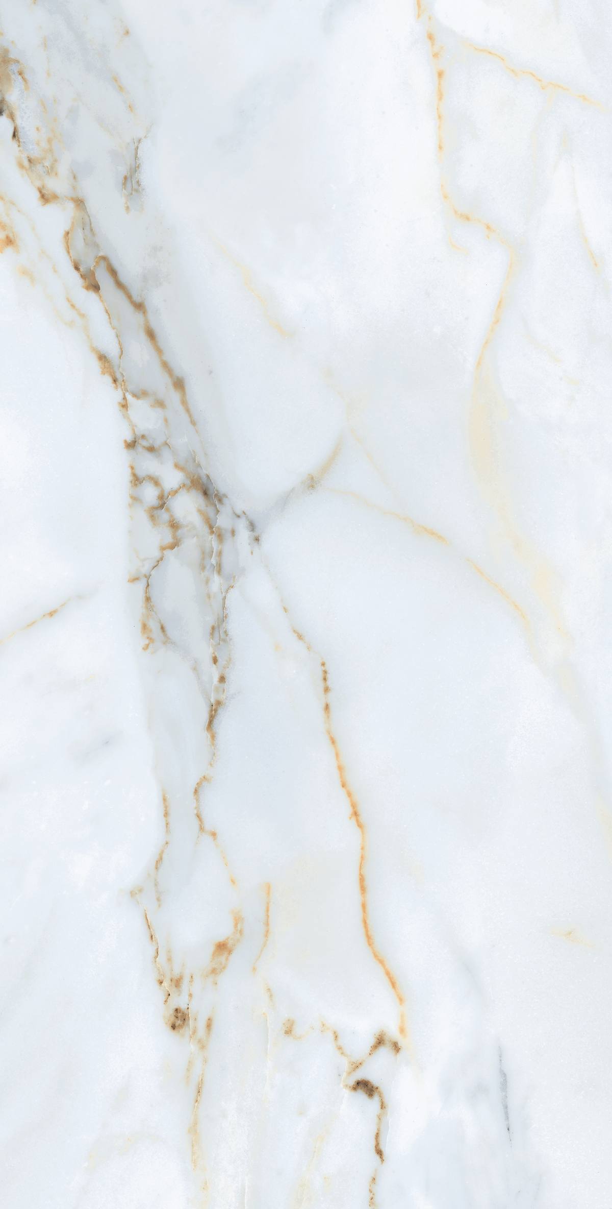 Carrara Venice 3