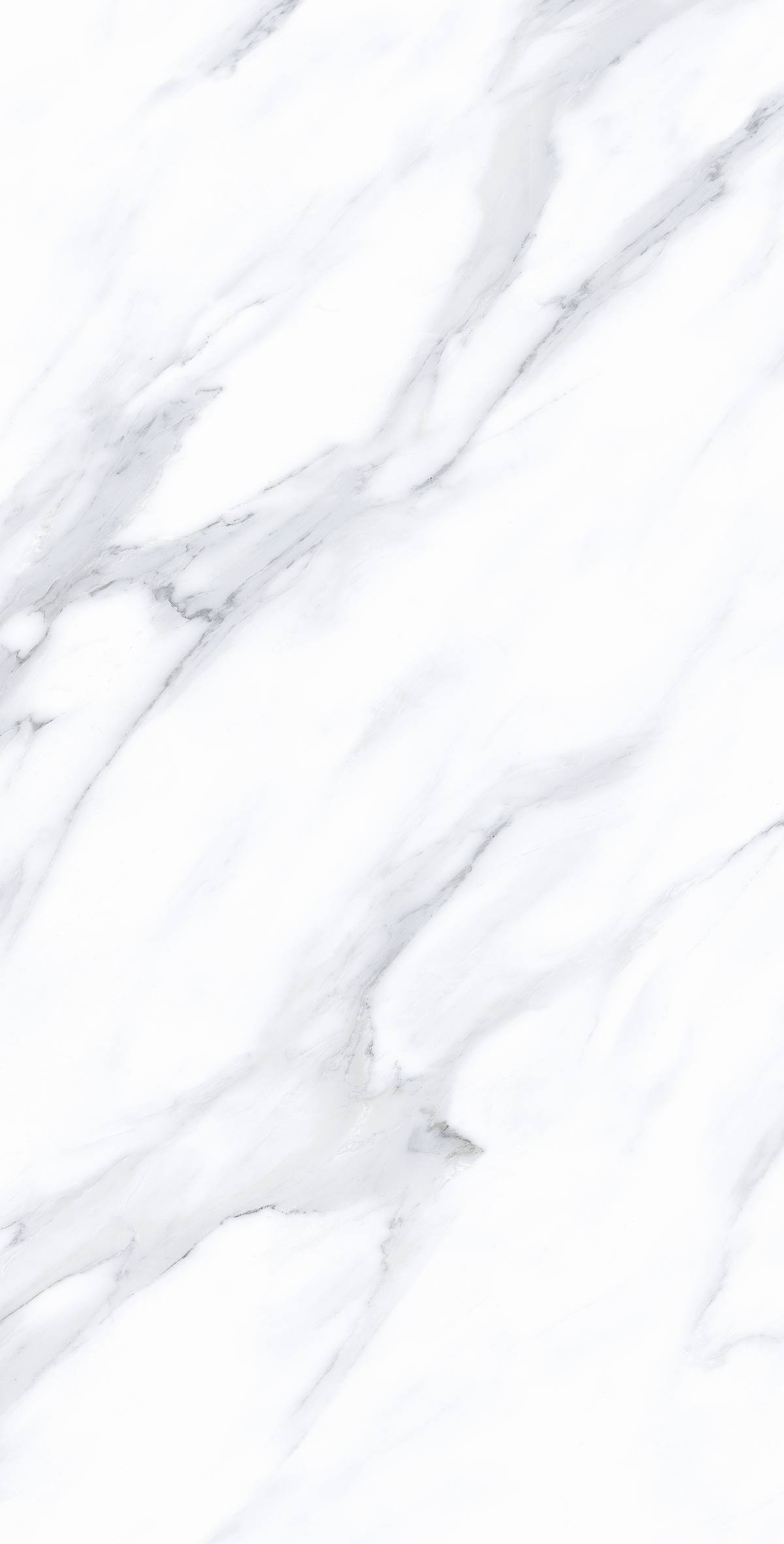 Glorious White 2